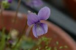 Dcim5834/DSC_0427