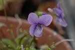 Dcim5834/DSC_0428