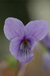 Dcim5834/DSC_0429