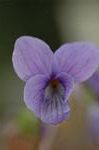 Dcim5834/DSC_0430