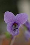 Dcim5834/DSC_0431
