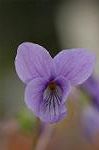 Dcim5834/DSC_0432