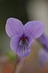 Dcim5834/DSC_0433