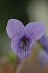 Dcim5834/DSC_0434