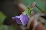 Dcim5834/DSC_0439