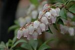 Dcim5834/DSC_0454