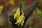Dcim5834/DSC_0464