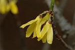 Dcim5834/DSC_0471