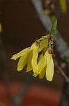 Dcim5834/DSC_0476