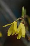 Dcim5834/DSC_0478