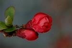Dcim5834/DSC_0481