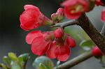 Dcim5834/DSC_0484
