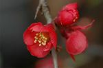 Dcim5834/DSC_0485