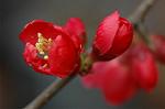 Dcim5834/DSC_0486
