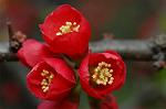 Dcim5834/DSC_0493