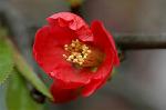 Dcim5834/DSC_0494