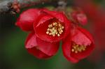Dcim5834/DSC_0495