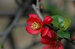Dcim5834/DSC_0496