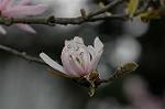 Dcim5834/DSC_0503
