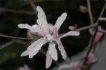 Dcim5834/DSC_0510