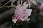 Dcim5834/DSC_0511