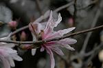 Dcim5834/DSC_0512