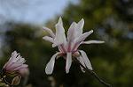 Dcim5834/DSC_0514