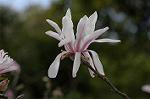 Dcim5834/DSC_0516