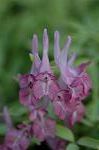 Dcim5835/DSC_0538