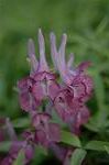 Dcim5835/DSC_0542