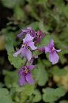 Dcim5835/DSC_0548