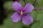 Dcim5835/DSC_0550