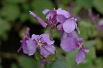 Dcim5835/DSC_0552