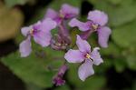 Dcim5835/DSC_0553