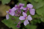 Dcim5835/DSC_0554