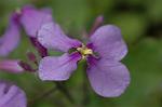 Dcim5835/DSC_0555