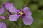 Dcim5835/DSC_0556