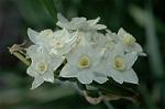 Dcim5835/DSC_0560