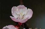 Dcim5835/DSC_0576