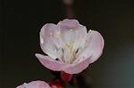 Dcim5835/DSC_0577