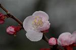 Dcim5835/DSC_0581