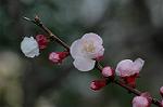 Dcim5835/DSC_0582