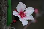 Dcim5835/DSC_0589