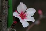 Dcim5835/DSC_0590