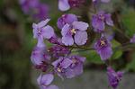 Dcim5835/DSC_0595