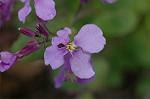 Dcim5835/DSC_0596