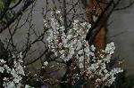 Dcim5835/DSC_0600