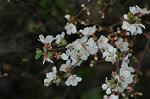 Dcim5835/DSC_0602