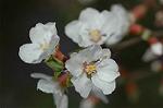Dcim5835/DSC_0606