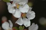 Dcim5835/DSC_0608